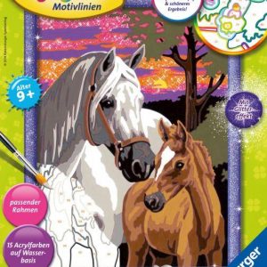 MnZ.Pferde im Sonnenuntergang