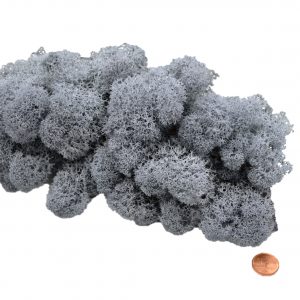 Muwse Islandmoos Titangrau 50 g Maßstab Spur 0 Modellbau